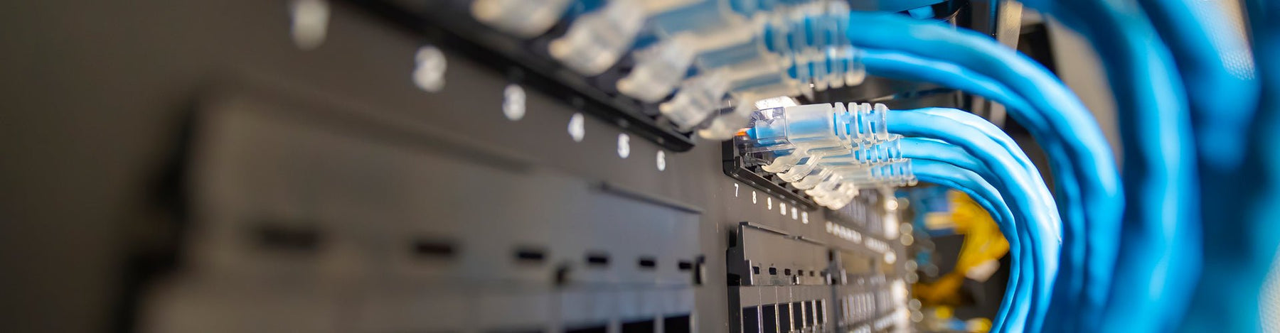 Comparing Aruba 6000 and 6100 Netwok Switches: Which One is Right for You? - IT Yuda